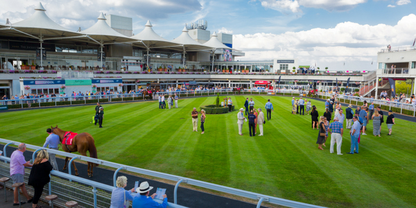 What A Scorcher! Incredible Summer Evening With Plan B At Sandown Park ...